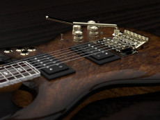 Shark Instruments 2